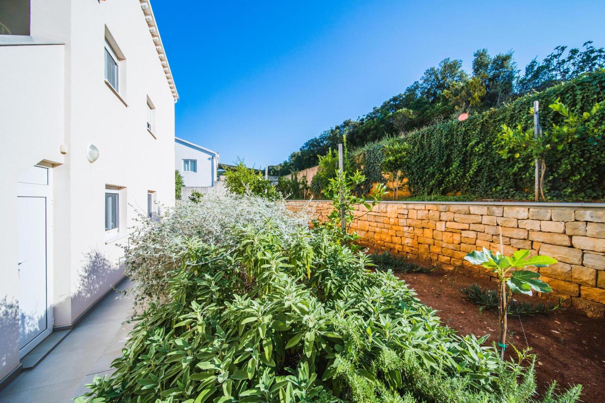 Villa Teuta Korčula Zewnętrze zdjęcie